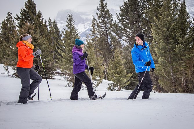Snowshoeing Tour to the Paint Pots - The guided culture stories: why the guide matters