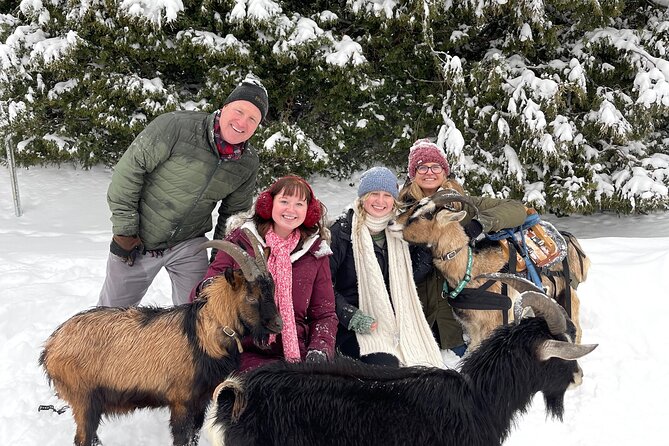 Snowshoeing with mountain goats Private activity - Key highlights at a glance