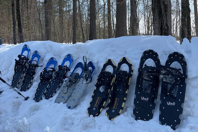 Snowshoeing with mountain goats Private activity - The goats and Luna dog: the part that turns a hike into a story