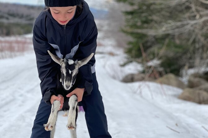 Snowshoeing with mountain goats Private activity - What to wear, what to bring, and how to stay comfortable