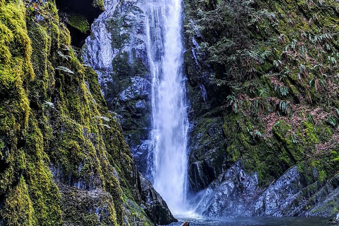 Sooke to Port Renfrew: Wild Pacific Adventure - Botanical Beach Provincial Park: the tidal pools moment you’ll remember