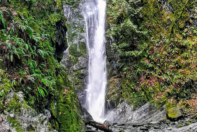 Sooke to Port Renfrew: Wild Pacific Adventure - Sooke Potholes Provincial Park: quick gorge scenery with small waterfall breaks