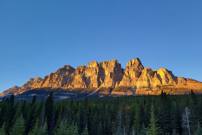 Spectacular Banff Day - Gondola Included - Comfort and small-group pacing in a 10-to-11-hour day