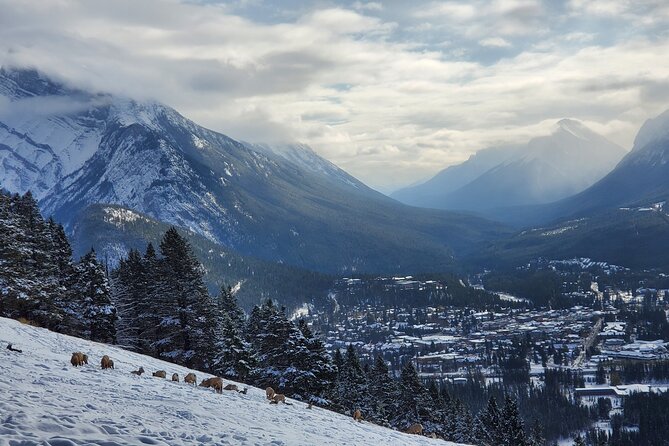 Spectacular Banff Day - Gondola Included - Sulphur Mountain gondola, 360-degree bragging rights