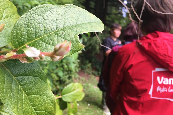 Spoken Treasures: Stanley Park Indigenous Walking Tour - FAQ