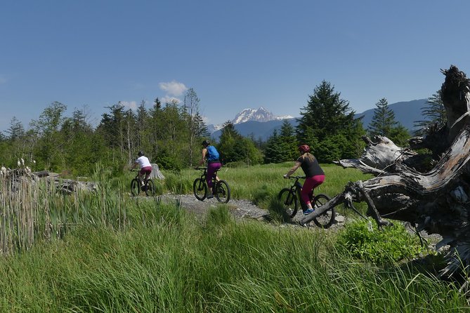 Squamish Discovery Eco-tour - Why Estuary Habitats Matter for Wildlife (and Your Photos)