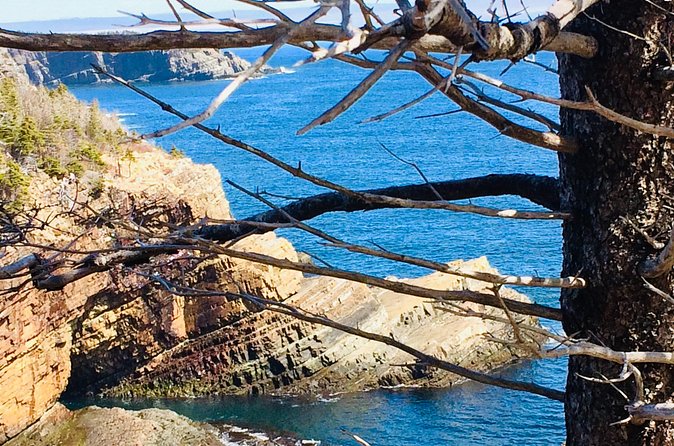 St. John's Coastal Hike with Top Local Guide Deneen - Logistics That Actually Matter on Tour Day