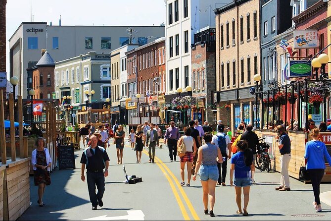 St. John's Downtown Walking Tour - George Street to Water Street, Where the City’s Details Actually Matter