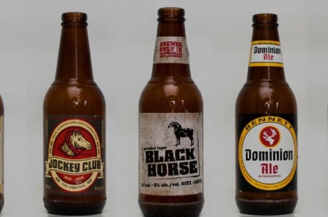 St. John's Local Pub Tour & History Lesson - Logistics that affect your day more than you think