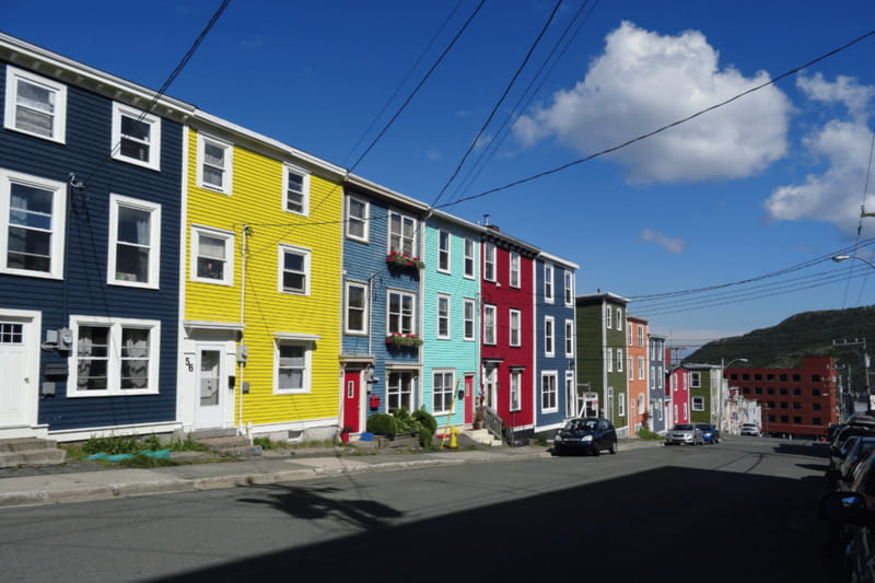 St John's Premium Driving Tour with Signal Hill & Cape Spear - Food Tips That Actually Help After the Tour