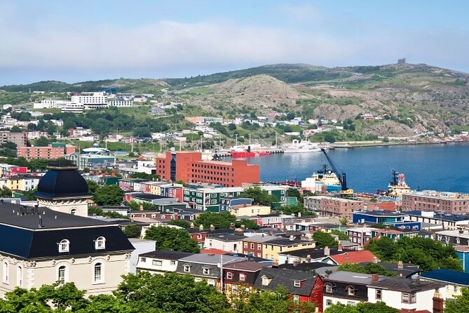St. John's, Quidi Vidi Village & Signal Hill Small Group Tour - Key things that make this tour work