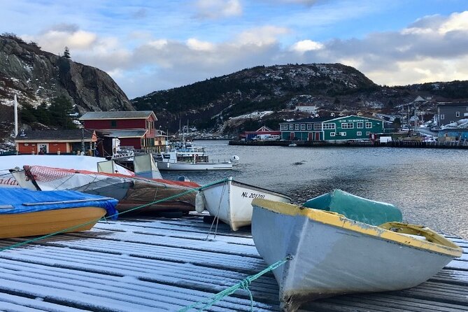 St. John's, Quidi Vidi Village & Signal Hill Small Group Tour - Downtown drive stops: Jellybean Row, The Rooms, George Street, and more