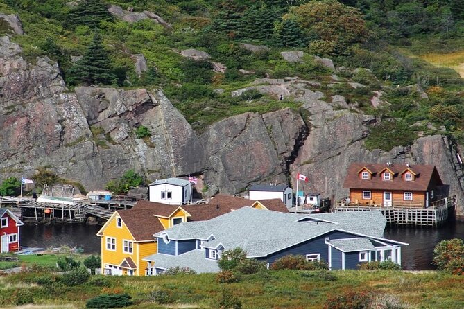 St. John's, Quidi Vidi Village & Signal Hill Small Group Tour - Quidi Vidi Village: a short stop with big local flavor potential