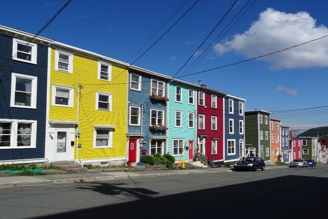 St. John's, Quidi Vidi Village & Signal Hill Small Group Tour - Time, comfort, and what the 3-hour plan really feels like