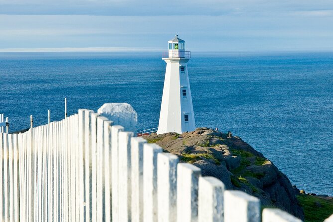 St. John's, Quidi Vidi Village & Signal Hill Small Group Tour - Price and value: what $66.07 gets you, and what it does not
