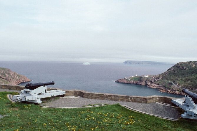 St. John's, Quidi Vidi Village & Signal Hill Small Group Tour - Who should book this small group St. John’s tour