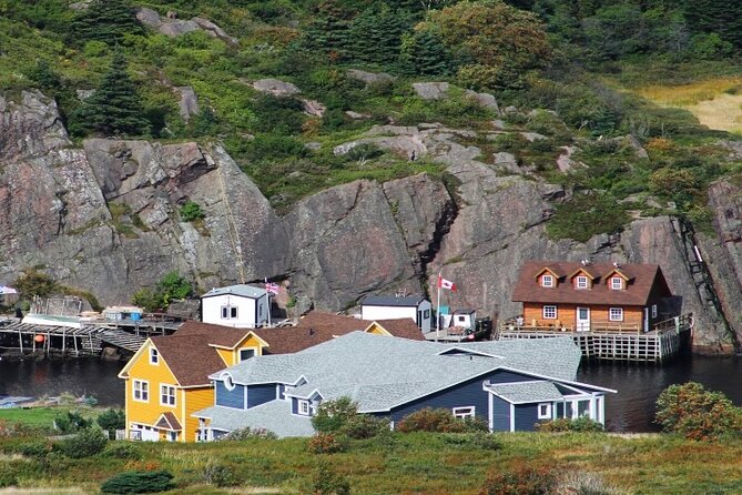 St. John’s Small Group Tour with Iceberg Quest Boat Cruise - Who This Tour Fits Best