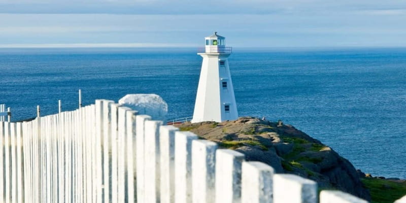 St Johns Premium Tour with Iceberg Quest Boat Cruise - Should you book the St. John’s Premium Tour with Iceberg Quest?