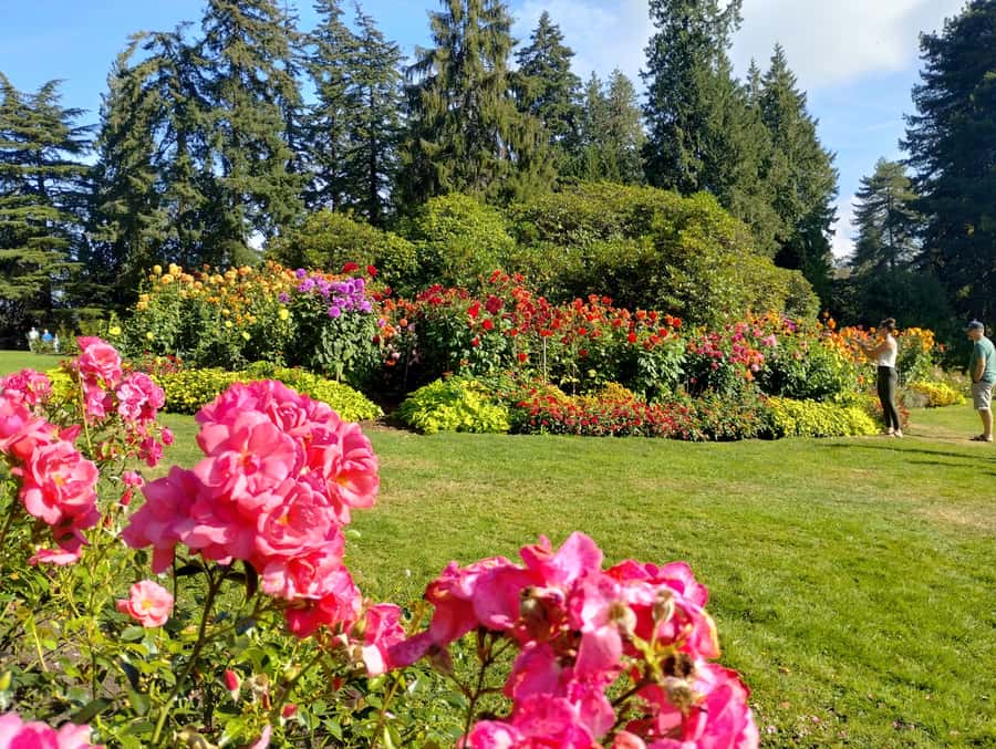 Stanley Park CarTour:SmallGroup/Comfort&CheaperThan BikeTour - Port views, Brockton Point Lighthouse, and the statues that add texture