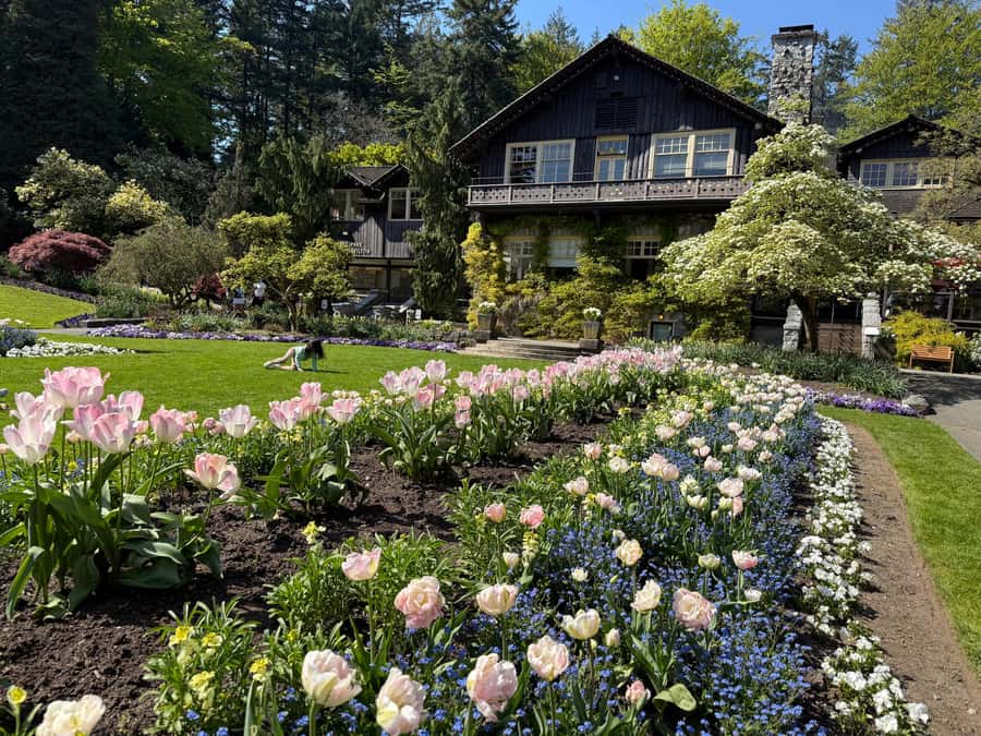 Stanley Park CarTour:SmallGroup/Comfort&CheaperThan BikeTour - Price and value: why $100 can beat the math of biking or renting