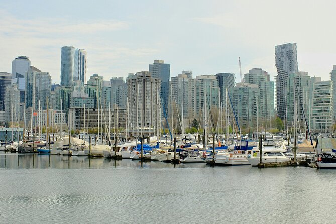 Stanley Park Highlights 2.5 Hour Walking Tour - Stop 5: Girl in Wetsuit and the North Shore view check