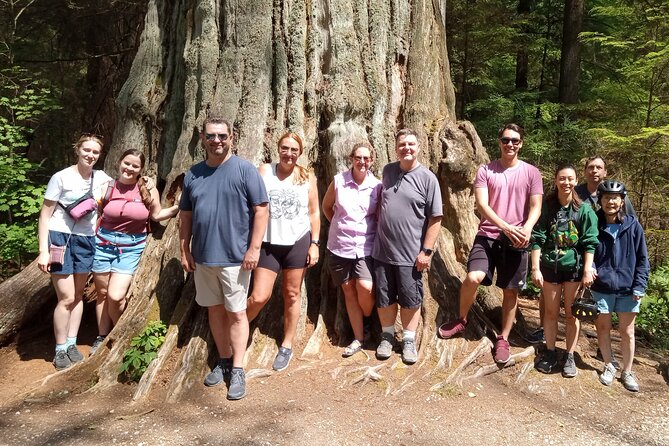 Stanley Park Highlights 2.5 Hour Walking Tour - Stop 1: Stanley Park Pavilion and Vancouver’s Hollywood connection