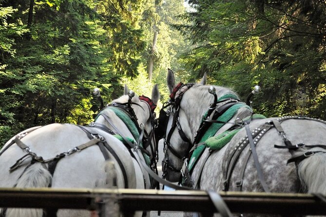 Stanley Park Horse Drawn Tour in Vancouver - A Slow Ride That Still Covers the Best Parts
