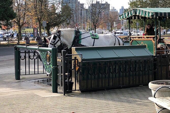 Stanley Park Horse Drawn Tour in Vancouver - North Side Views Toward North Vancouver and Lion’s Gate Bridge