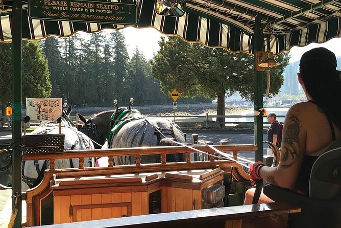 Stanley Park Horse Drawn Tour in Vancouver - The Horses, the Guide, and What Makes It Feel Personal