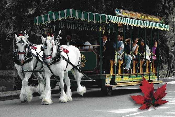 Stanley Park Horse Drawn Tour in Vancouver - Where You Start: Coal Harbour Views and Easy Finding
