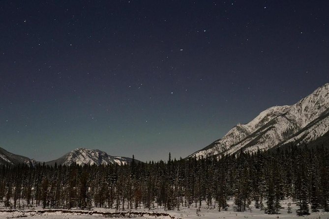 Stargazing Tour - Kananaskis After Dark - The moonlit snowshoe hike: what it feels like on the trail