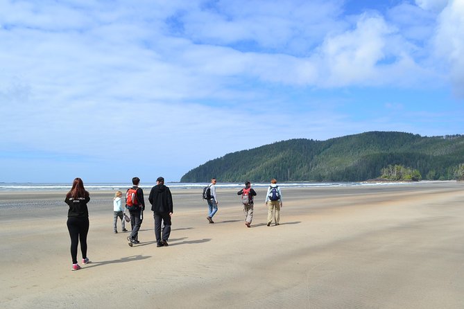 STUNNING San Josef Bay Tour in Cape Scott Provincial Park - Key things I think you will love