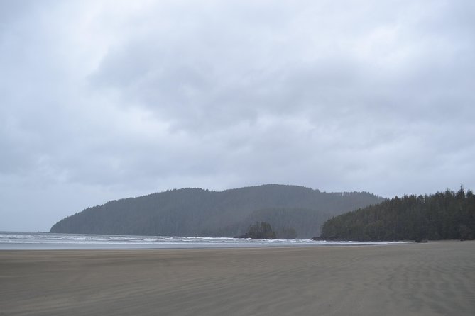 STUNNING San Josef Bay Tour in Cape Scott Provincial Park - The road to Holberg sets the tone for Cape Scott