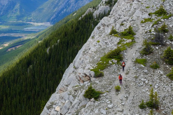 Sulphur Mountain Highline Trek in Banff - The trail feel: tree line to alpine, limestone slabs, and scree