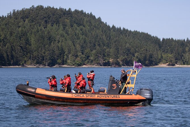 Summer Whale Watching Tour in a Zodiac Boat in Victoria - The whale hunt on Zodiac time, not just a generic cruise