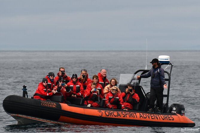 Summer Whale Watching Tour in a Zodiac Boat in Victoria - Price and value: what $144.30 buys you in the real world