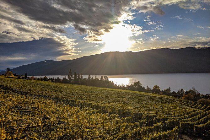 Sunset Sip Wine Tour - The Modest Butcher Kitchen + Market: dinner reservation with flexibility for diets