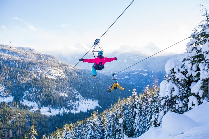 Superfly Ziplines on Cougar Mountain - includes 4 ziplines! - Why Cougar Mountain’s 4-Zipline Route Feels Worth Your Time