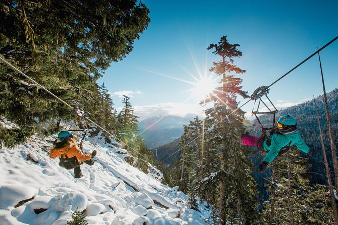 Superfly Ziplines on Cougar Mountain - includes 4 ziplines! - Dual Cables Make This More Fun Than Solo Flying