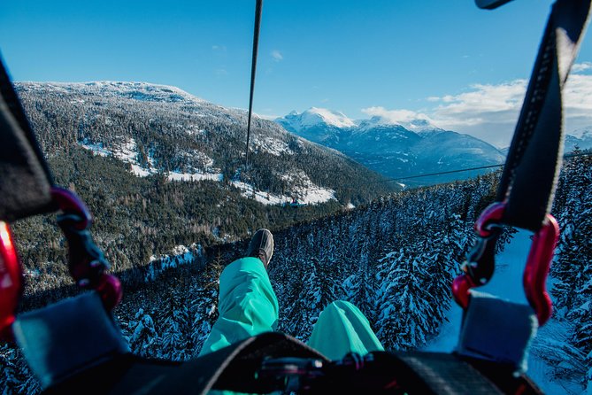Superfly Ziplines on Cougar Mountain - includes 4 ziplines! - From Sixteen Mile Creek to Base Camp: What to Expect on Arrival