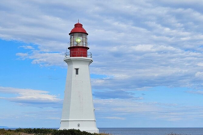 Sydney City & Coastline Tour - Sydney in 90 Minutes: Port Views and a Coastline Route