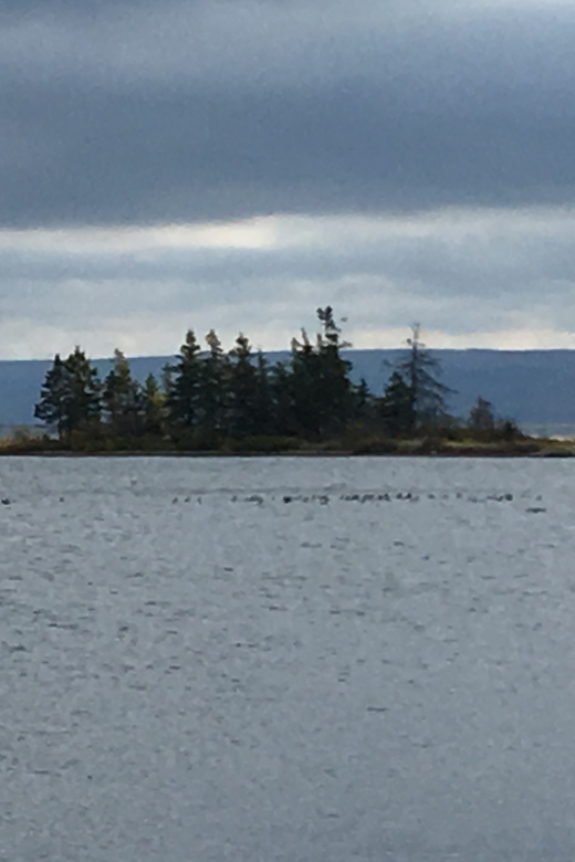 Sydney: Highland Village & Bell Museum Cruise Excursion - A Fast 6 Hours Through Cape Breton’s Most Definite Stories