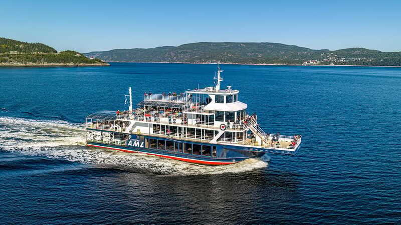 Tadoussac/Charlevoix: 3-Hour Whale Watching Boat Tour - What whales and wildlife you might spot on this route
