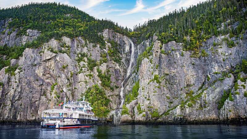 Tadoussac/Charlevoix: 3-Hour Whale Watching Boat Tour - Food and the onboard bistro: how it works during the 3-hour ride