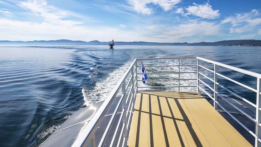 Tadoussac/Charlevoix: VIP Lounge OR UpperDeck Whale Watching - What you actually get on board: VIP service, reserved access, and bilingual naturalist guidance