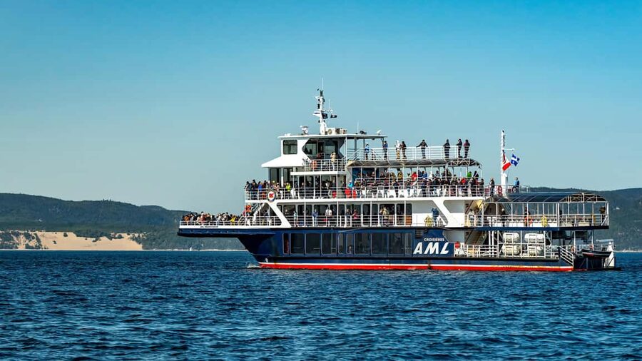 Tadoussac/Charlevoix: VIP Lounge OR UpperDeck Whale Watching - Whale watching reality check: you can see lots, but not every trip is the same