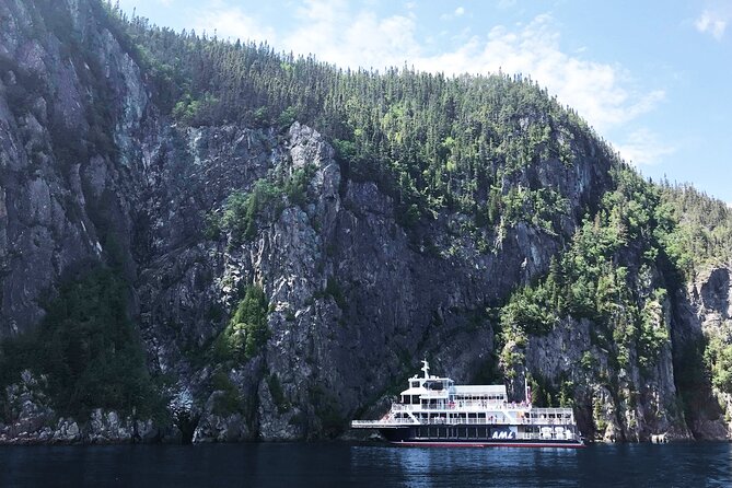 Tadoussac/Charlevoix: Whale Watching Tour - Where the Whales Feed: Saguenay-St. Lawrence in Plain Terms