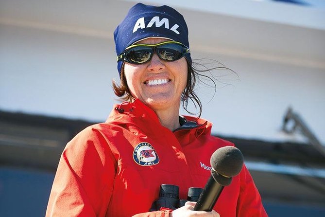 Tadoussac/Charlevoix: Whale Watching Tour - What Wildlife You Might See, and Why It Feels Different