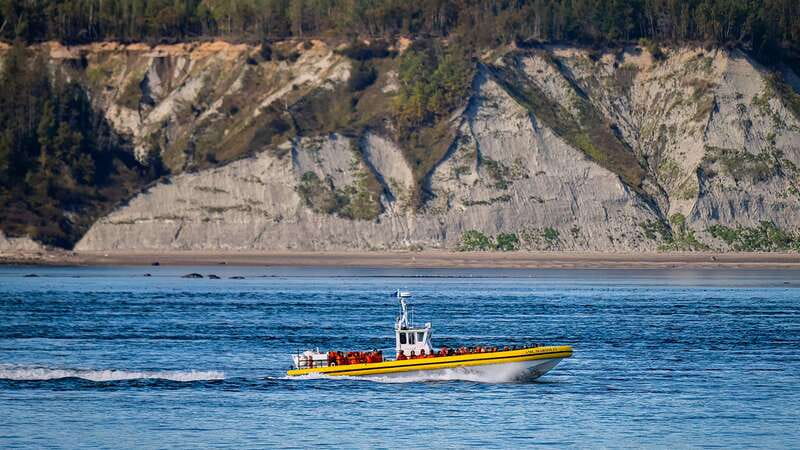 Tadoussac/Charlevoix: Whale Watching Tour & Bear Observation - What to Bring and Wear (This Is Where People Trip Up)