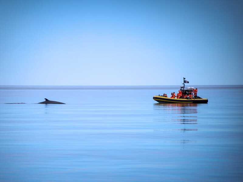 Tadoussac/Charlevoix: Whale Watching Zodiac Tour - Getting to the right dock: where you meet and how the pickup works